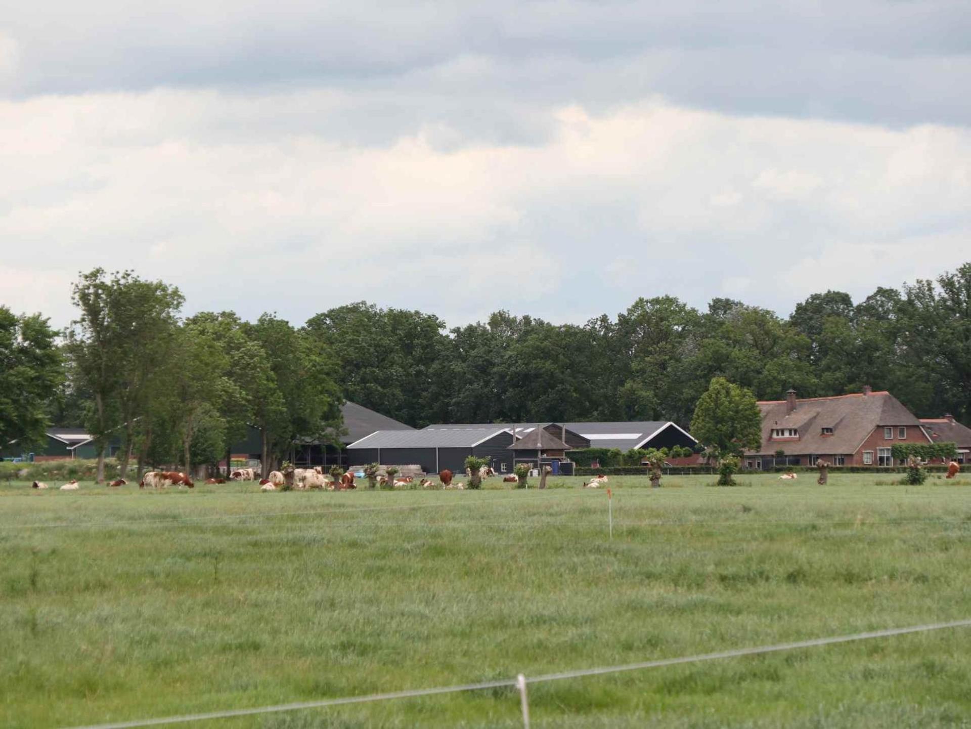Hofstay195 Achterveld ภายนอก รูปภาพ