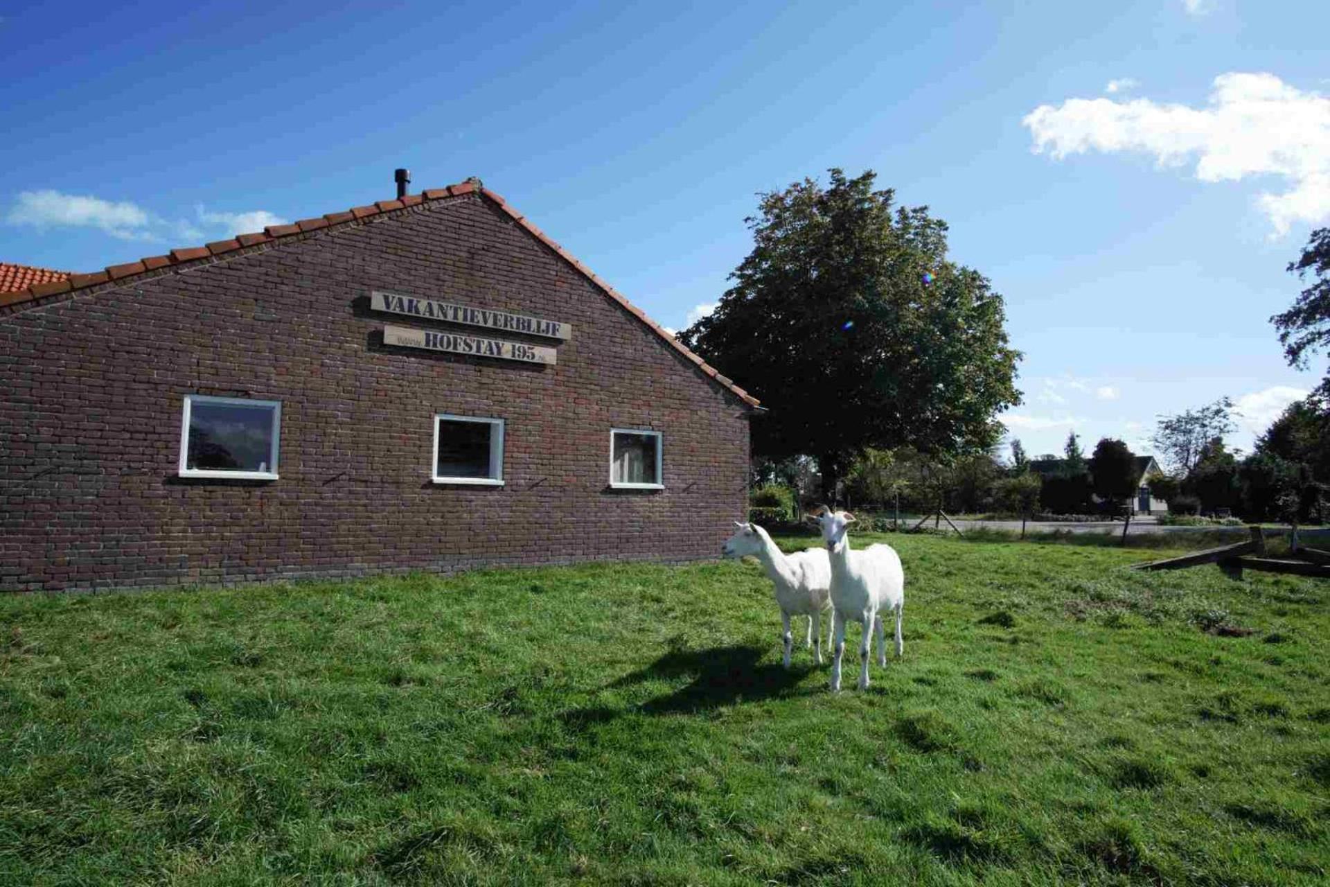 Hofstay195 Achterveld ภายนอก รูปภาพ