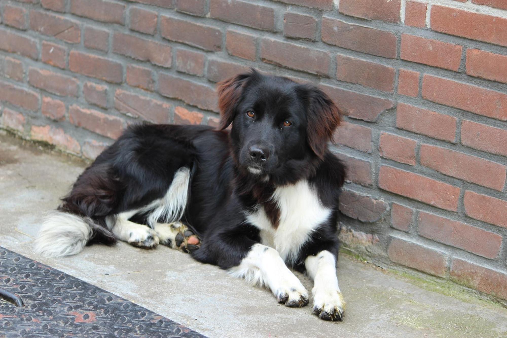 Hofstay195 Achterveld ภายนอก รูปภาพ